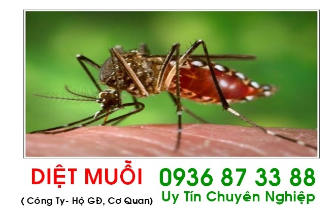 Dịch vụ diệt côn trùng